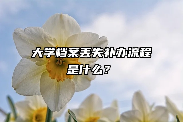 大学档案丢失补办流程是什么？快来看！