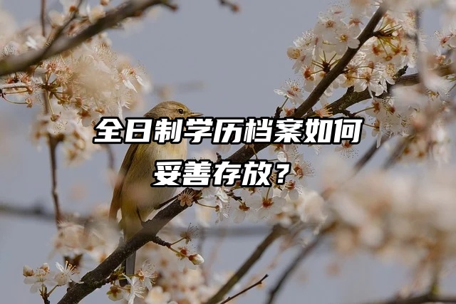 提问！全日制学历档案如何妥善存放？