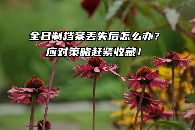 全日制档案丢失后怎么办？应对策略赶紧收藏！