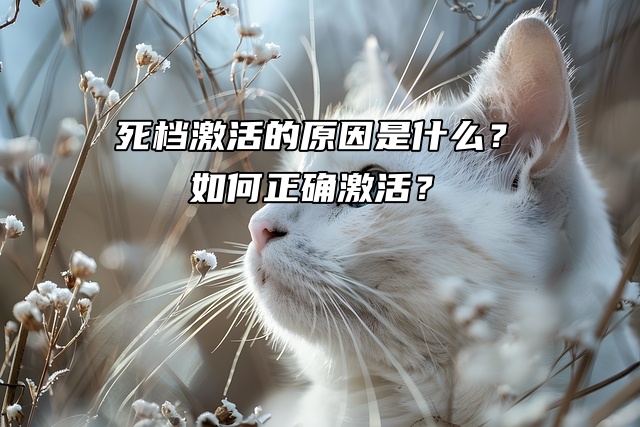 死档的原因是什么？如何正确激活？