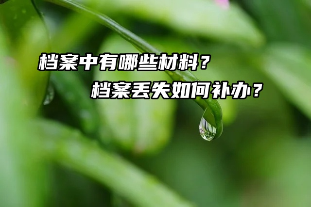 档案问题聚焦：档案中有哪些材料？档案丢失如何补办？