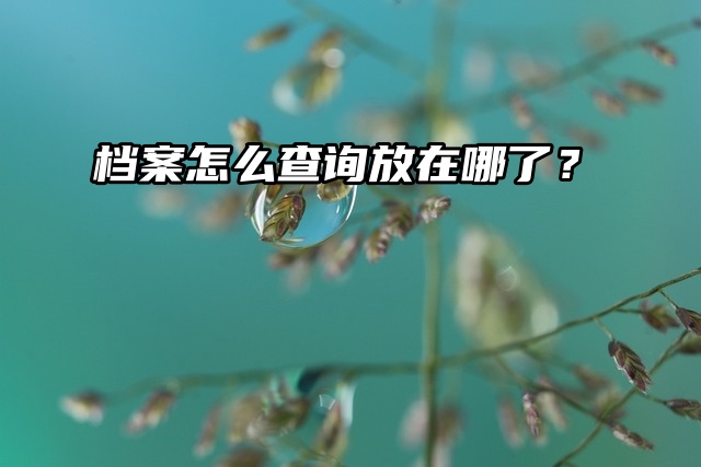 档案查询秘籍：档案怎么查询放在哪了？