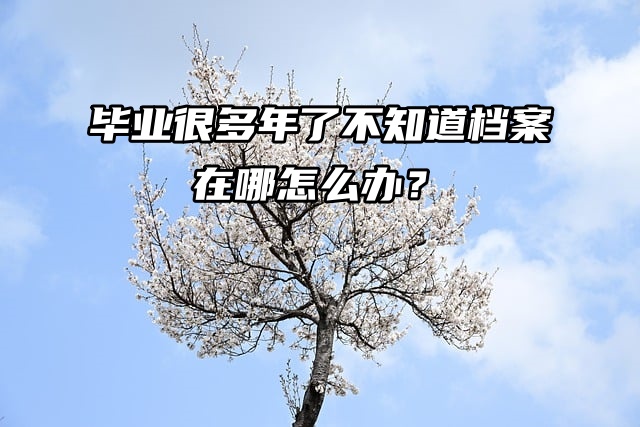 档案查询方法大揭秘：毕业很多年了不知道档案在哪！