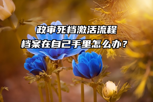 政审死档激活流程：档案在自己手里怎么办？