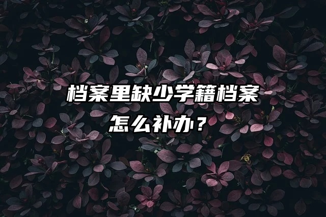 档案里缺少学籍档案怎么补办？补办流程来了！