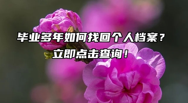 毕业多年如何找回个人档案？立即点击查询！