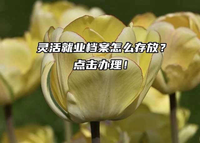 灵活就业档案怎么存放？点击办理！