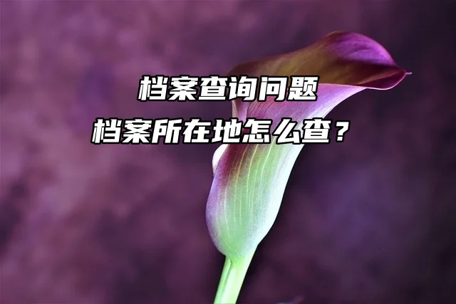 档案查询问题：档案所在地怎么查？