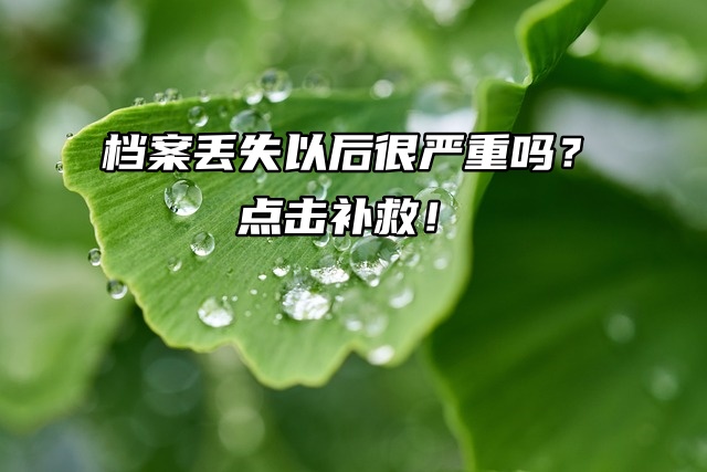 档案丢失以后很严重吗？点击补救方法！