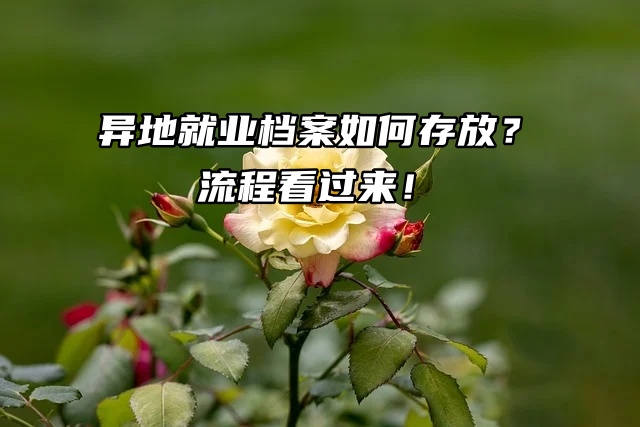 异地就业档案如何存放？流程看过来！