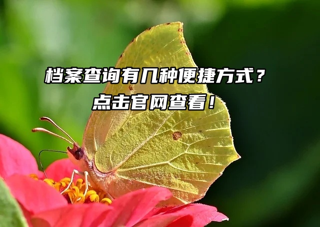 档案查询有几种便捷方式？点击官网查看！