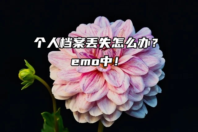 个人档案丢失怎么办？emo中！