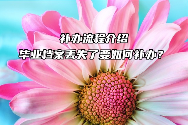 补办流程介绍：毕业档案丢失了要如何补办？