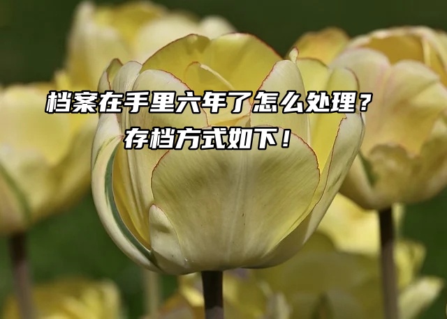 档案在手里六年了怎么处理？存档方式如下！