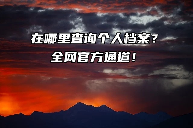 在哪里查询个人档案？全网官方通道来啦！