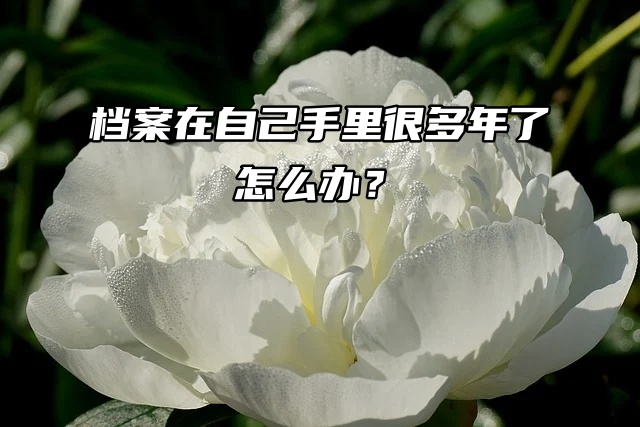 档案转递人才中心：档案在自己手里很多年了怎么办？