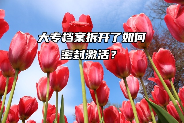 大专档案拆开了如何密封激活？