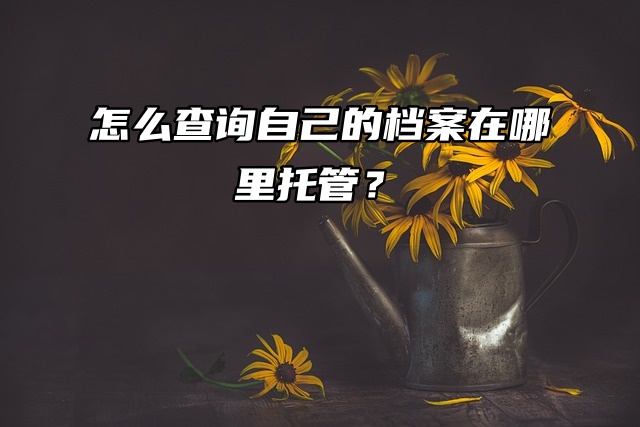 怎么查询自己的档案在哪里托管？