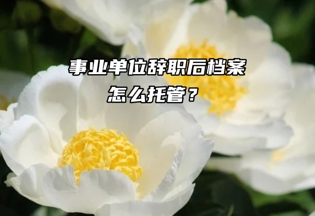 事业单位辞职后档案怎么托管？