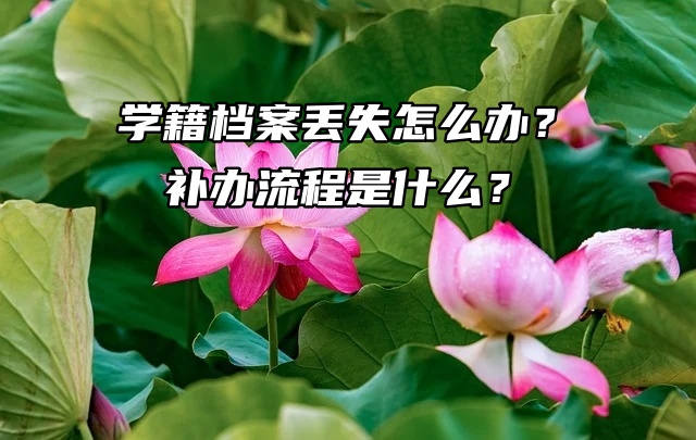 学籍档案丢失怎么办？补办流程是什么？