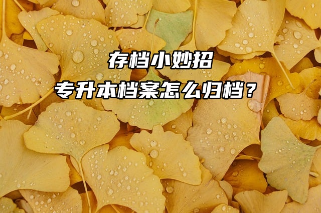 存档小妙招：专升本档案怎么归档？