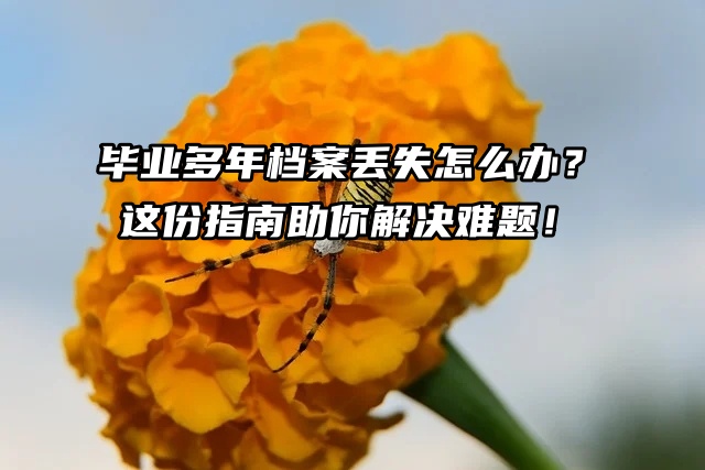 毕业多年档案丢失怎么办？这份指南助你解决难题！