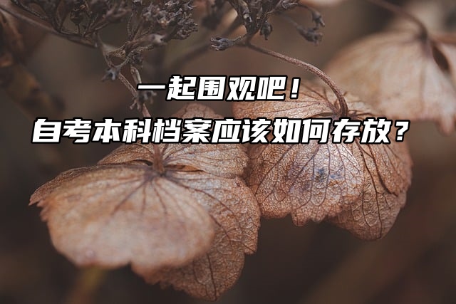 一起围观吧！自考本科档案应该如何存放？