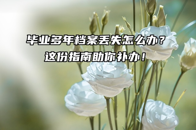 毕业多年档案丢失怎么办？这份指南助你补办！