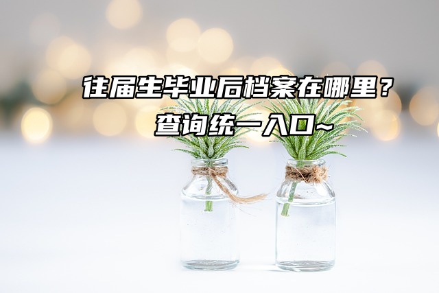 往届生毕业后档案在哪里？查询统一入口~