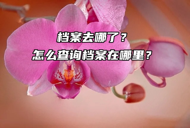 档案去哪了？怎么查询档案在哪里？