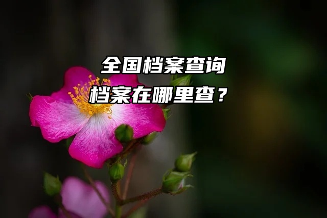 全国档案查询：档案在哪里查？