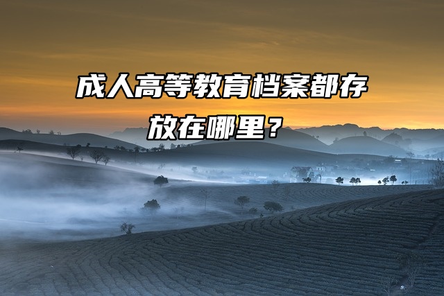 档案存放：成人高等教育档案都存放在哪里？