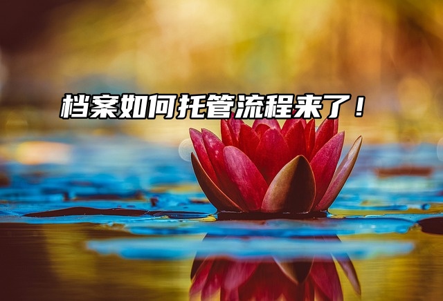 别再稀里糊涂了，档案如何托管流程来了！