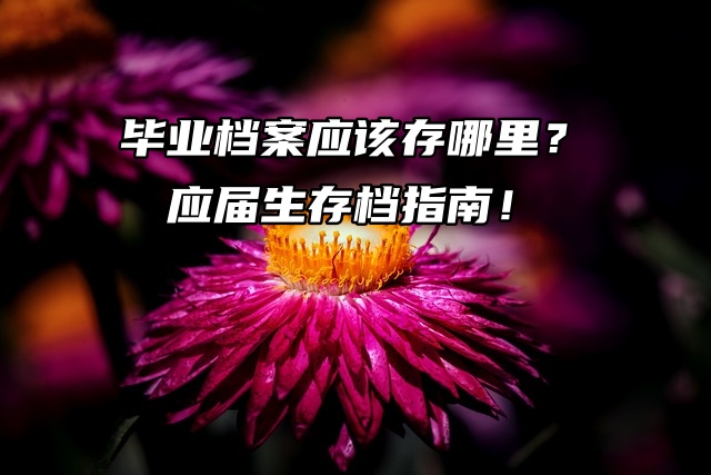 毕业档案应该存哪里？应届生存档指南！