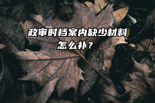 政审时档案内缺少材料怎么办？还能补办吗？