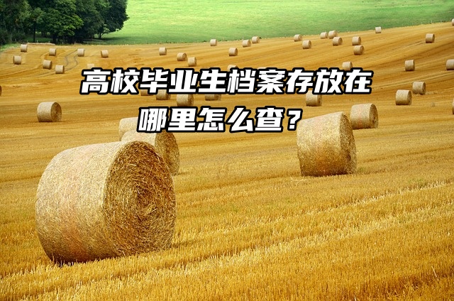 高校毕业生档案存放在哪里怎么查？