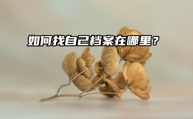 档案查询流程：如何找自己档案在哪里？