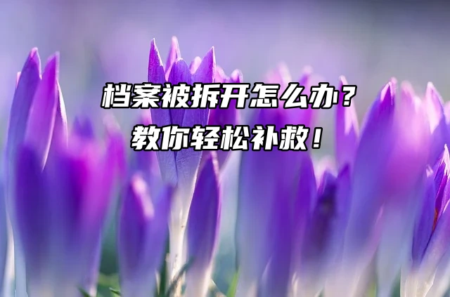 档案被拆开怎么办？教你轻松补救！