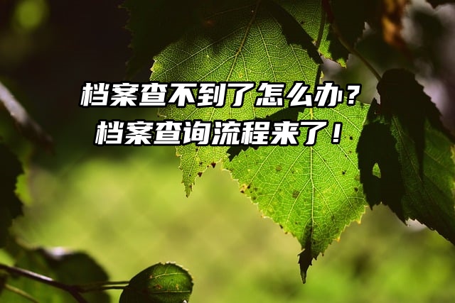 档案查不到了怎么办？档案查询流程来了！