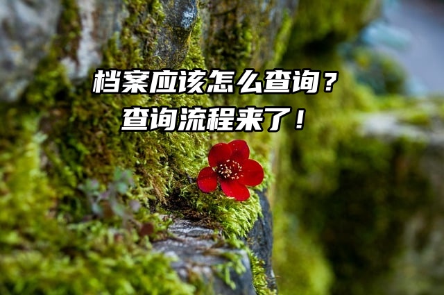 档案应该怎么查询？查询流程来了！