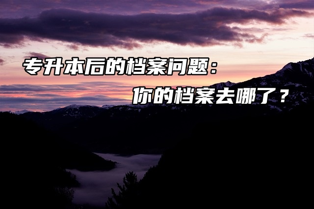 专升本后的档案问题：你的档案去哪了？