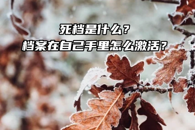 死档是什么？档案在自己手里怎么激活？