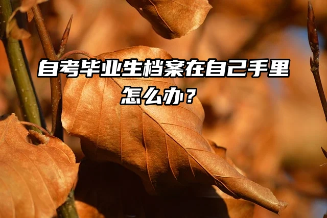 自考毕业生档案在自己手里怎么办？会变成死档吗？