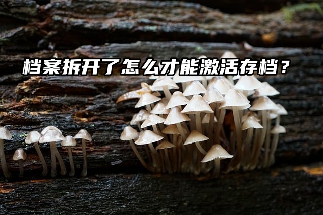 糟了！档案被撕了怎么才能激活存档？