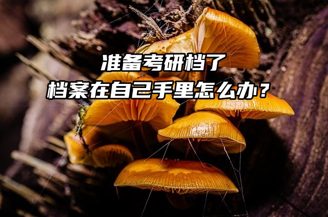 准备考研档了，档案在自己手里怎么办？很急！