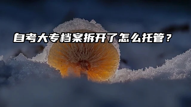 毕业时没注意，自考大专档案拆开了怎么托管？