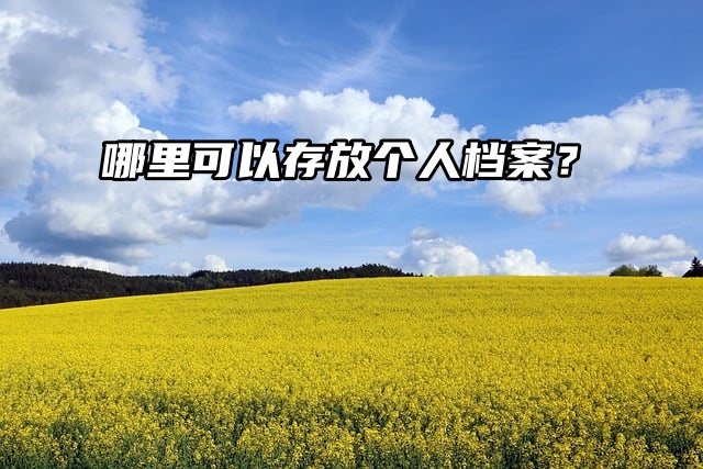 存档必看！哪里可以存放个人档案？