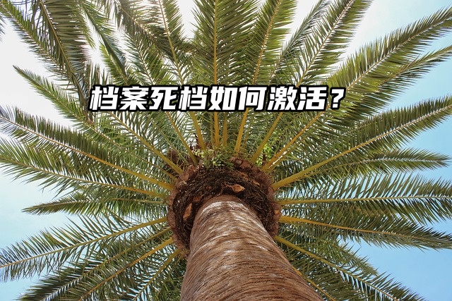 档案死档如何激活？解决方法来了！