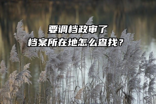 要调档政审了，档案所在地怎么查找？