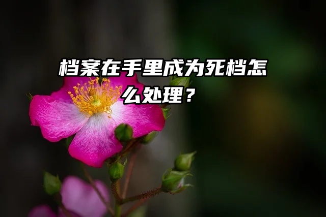 考事业单位档案在手里成为死档，怎么处理？